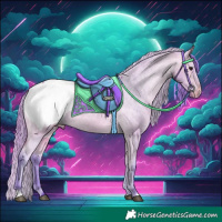 Horse Color:Watercolor Buckskin Appaloosa
