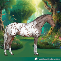 Horse Color:Silver Bay Tobiano Near Leopard 