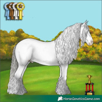 Horse Color:White Spotted Liver Chestnut Mushroom Sabino Appaloosa 