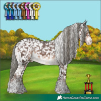Horse Color:White Spotted Liver Chestnut Mushroom Sabino Snowflake Varnish