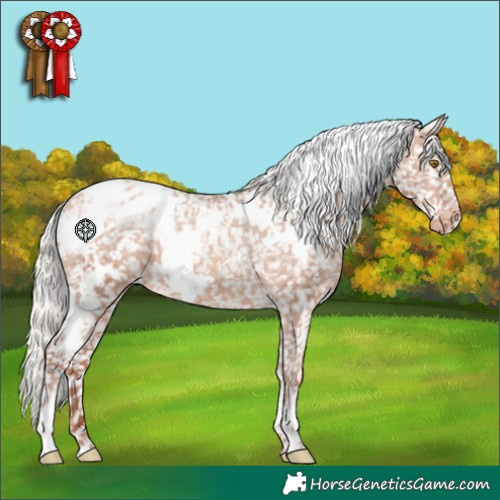 Horse Color:White Spotted Silver Sable Champagne Blanket 