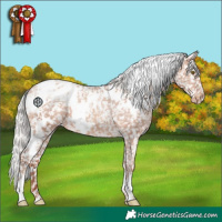 Horse Color:White Spotted Silver Sable Champagne Blanket 