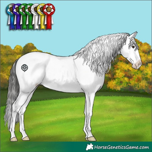 Horse Color:Liver Chestnut Near Fewspot 