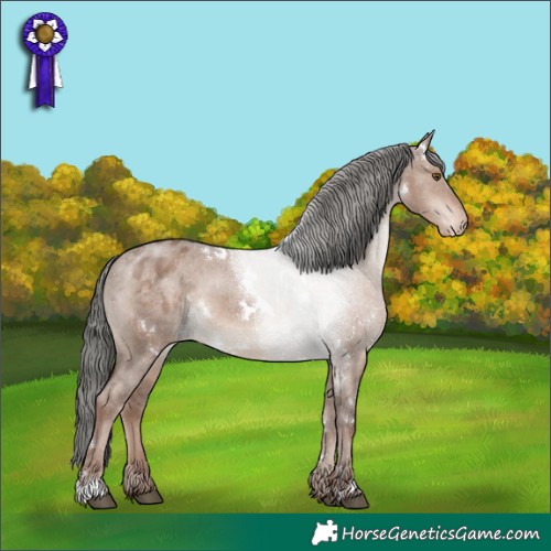 Horse Color:White Spotted Liver Red Dun Mushroom Appaloosa 