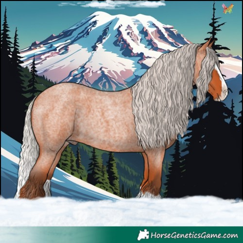 Horse Color:Silver Bay Roan Splash 