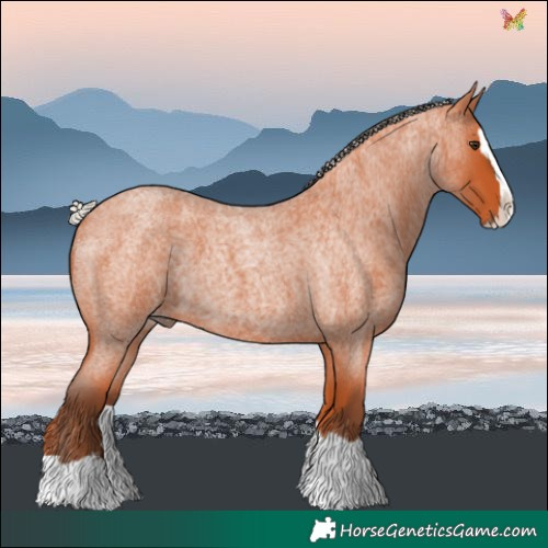 Horse Color:Silver Bay Roan Splash 