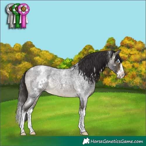 Horse Color:White Spotted Buckskin Roan Splash Rabicano 