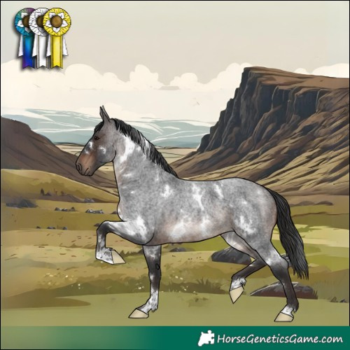 Horse Color:White Spotted Brown Roan 