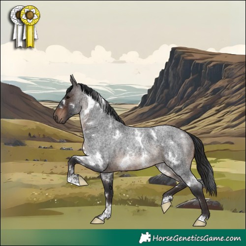 Horse Color:White Spotted Brown Roan 