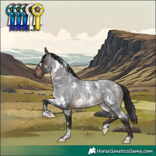 Horse Color:White Spotted Brown Roan 
