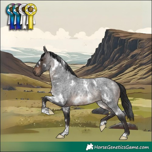 Horse Color:White Spotted Brown Roan 