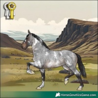Horse Color:White Spotted Brown Roan 