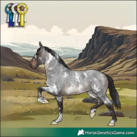 Horse Color:White Spotted Brown Roan 
