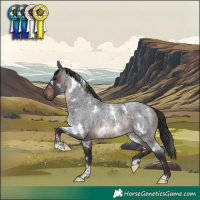Horse Color:White Spotted Brown Roan