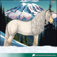 Horse Color:Palomino Roan