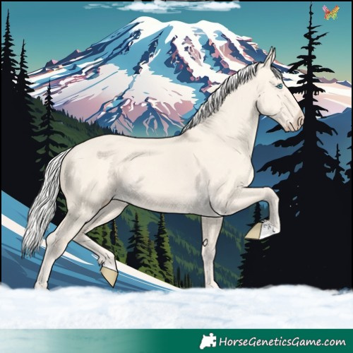 Horse Color:Silver Perlino Dun 