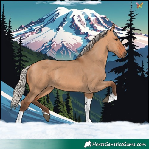 Horse Color:Silver Bay Dun Tobiano 