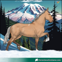 Horse Color:Silver Bay Dun Tobiano