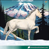 Horse Color:Palomino Roan Dun 