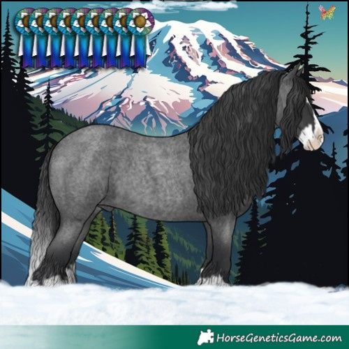 Horse Color:Blue Roan Splash 