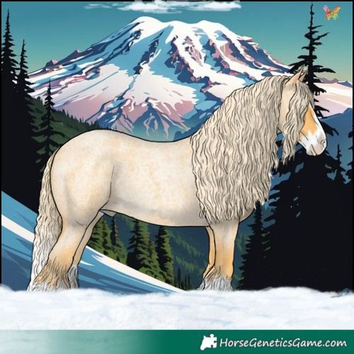 Horse Color:Palomino Roan Splash 