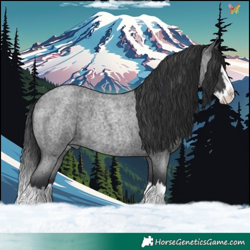 Horse Color:Blue Roan Splash 