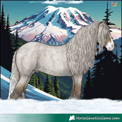 Horse Color:Silver Smoky Blue Roan Splash 