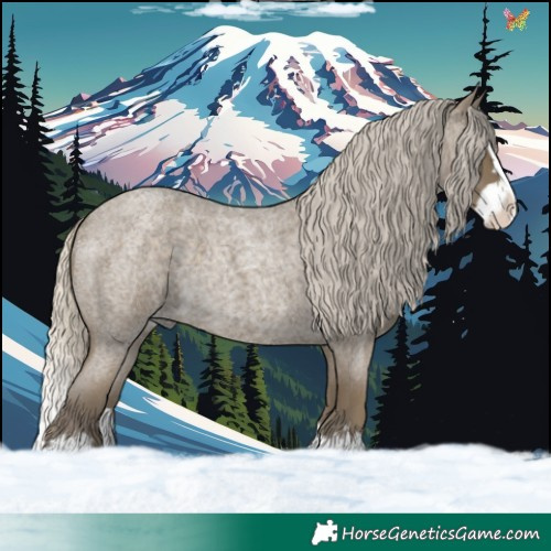 Horse Color:Silver Smoky Blue Roan Splash 
