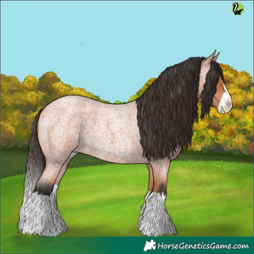 Horse Color:Bay Roan Splash