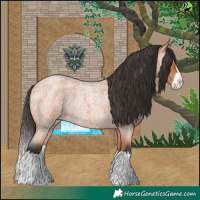 Horse Color:Bay Roan Splash 