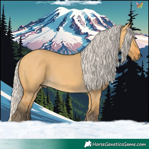 Horse Color:Silver Buckskin Dun 