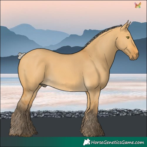 Horse Color:Silver Buckskin Dun 