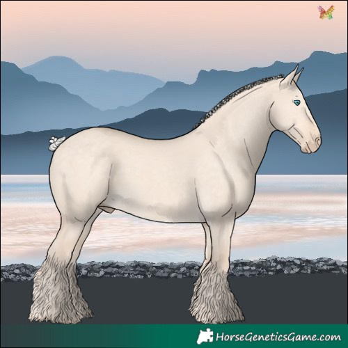 Horse Color:Silver Perlino Dun 