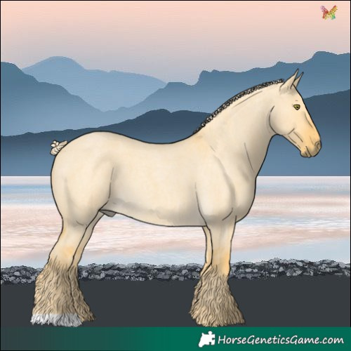 Horse Color:Palomino Roan Dun 