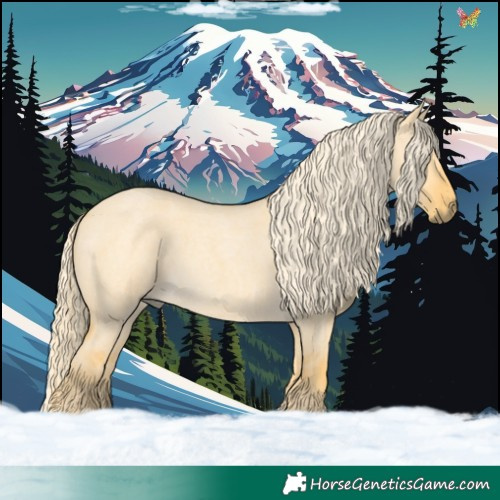 Horse Color:Palomino Roan Dun 