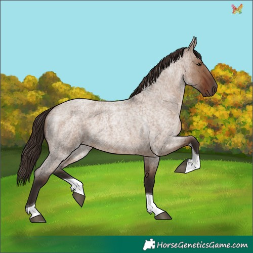 Horse Color:Liver Red Dun Roan Tobiano 
