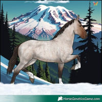 Horse Color:Liver Red Dun Roan Tobiano