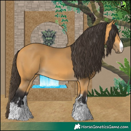 Horse Color:White Spotted Buckskin