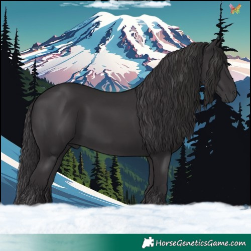 Horse Color:Smoky Black 