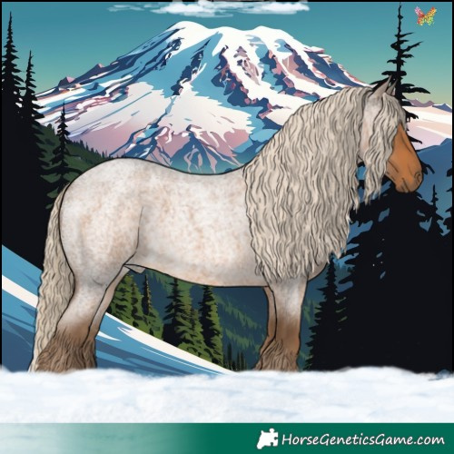 Horse Color:Chocolate Palomino Roan 