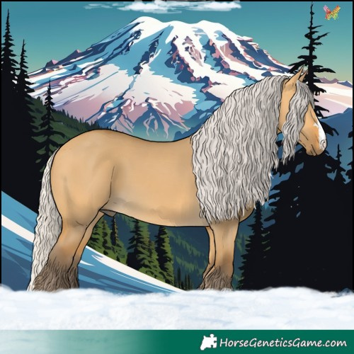 Horse Color:Silver Buckskin Dun 