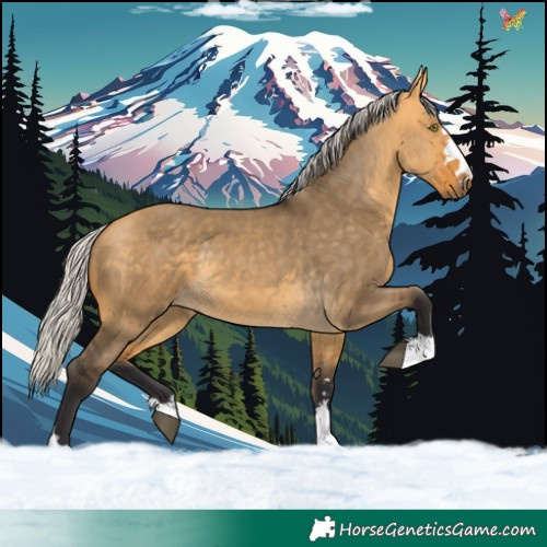 Horse Color:Silver Buckskin Dun 