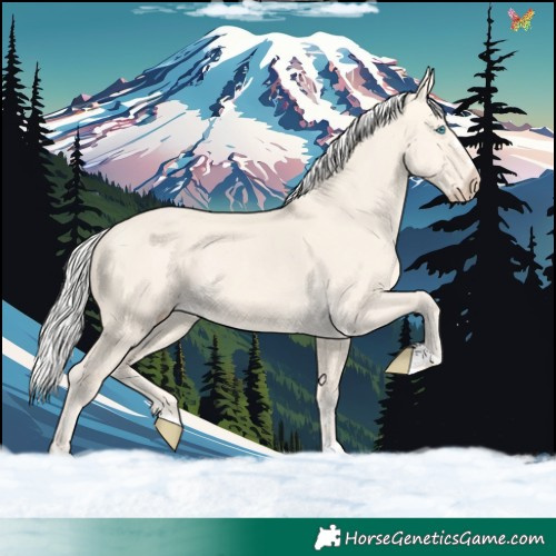 Horse Color:Silver Perlino Dun 