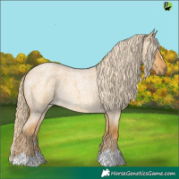 Horse Color:Palomino Roan Dun 