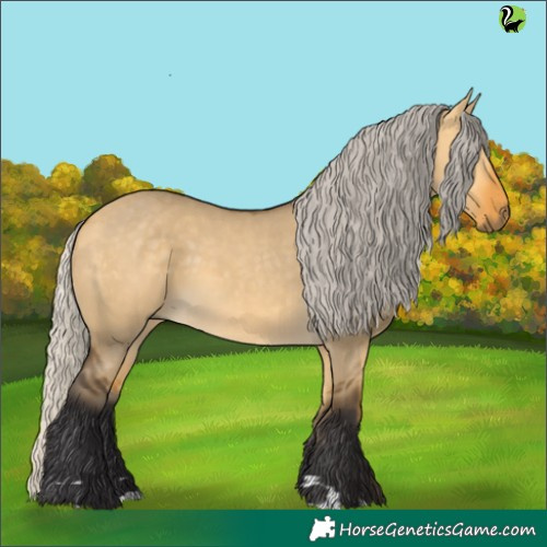 Horse Color:Silver Buckskin Dun