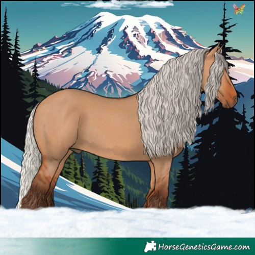 Horse Color:Silver Bay Dun 