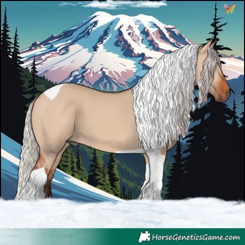Horse Color:Silver Bay Dun Tobiano 