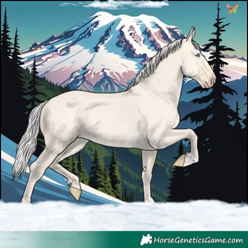 Horse Color:Silver Perlino Dun 