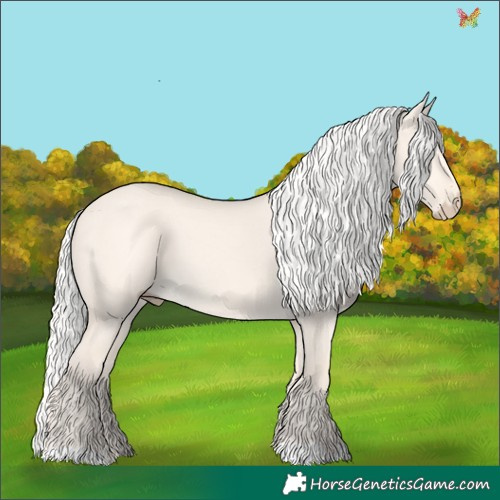 Horse Color:Silver Perlino Dun 