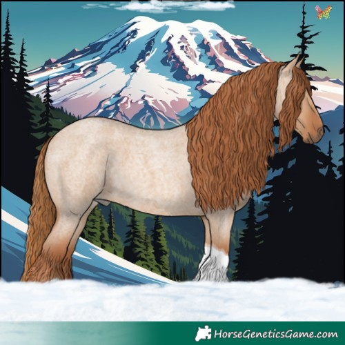 Horse Color:Red Dun Roan Tobiano 